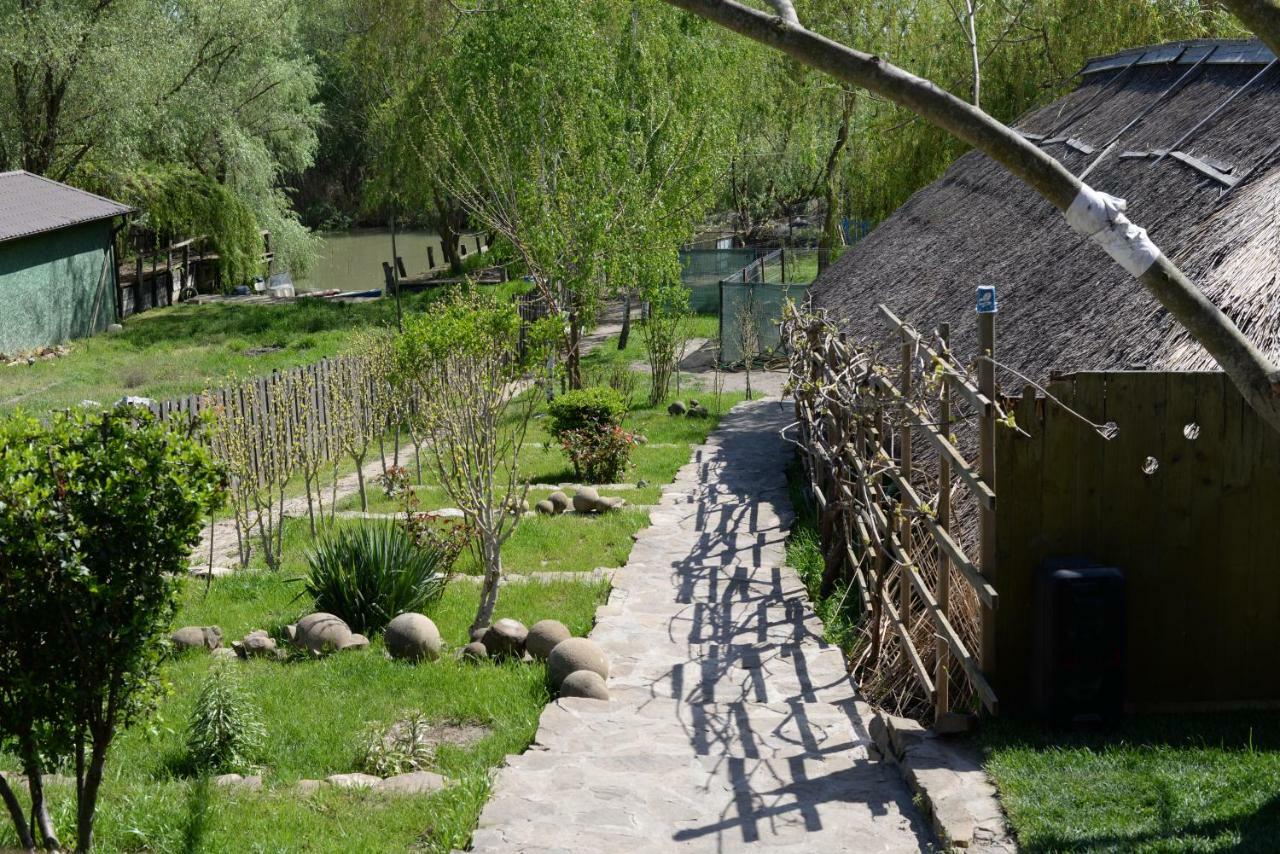 Pensiunea Yogi Dunavăţu de Jos Exterior foto
